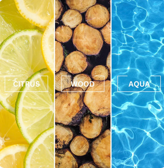 Savage Luxury Air Fresheners